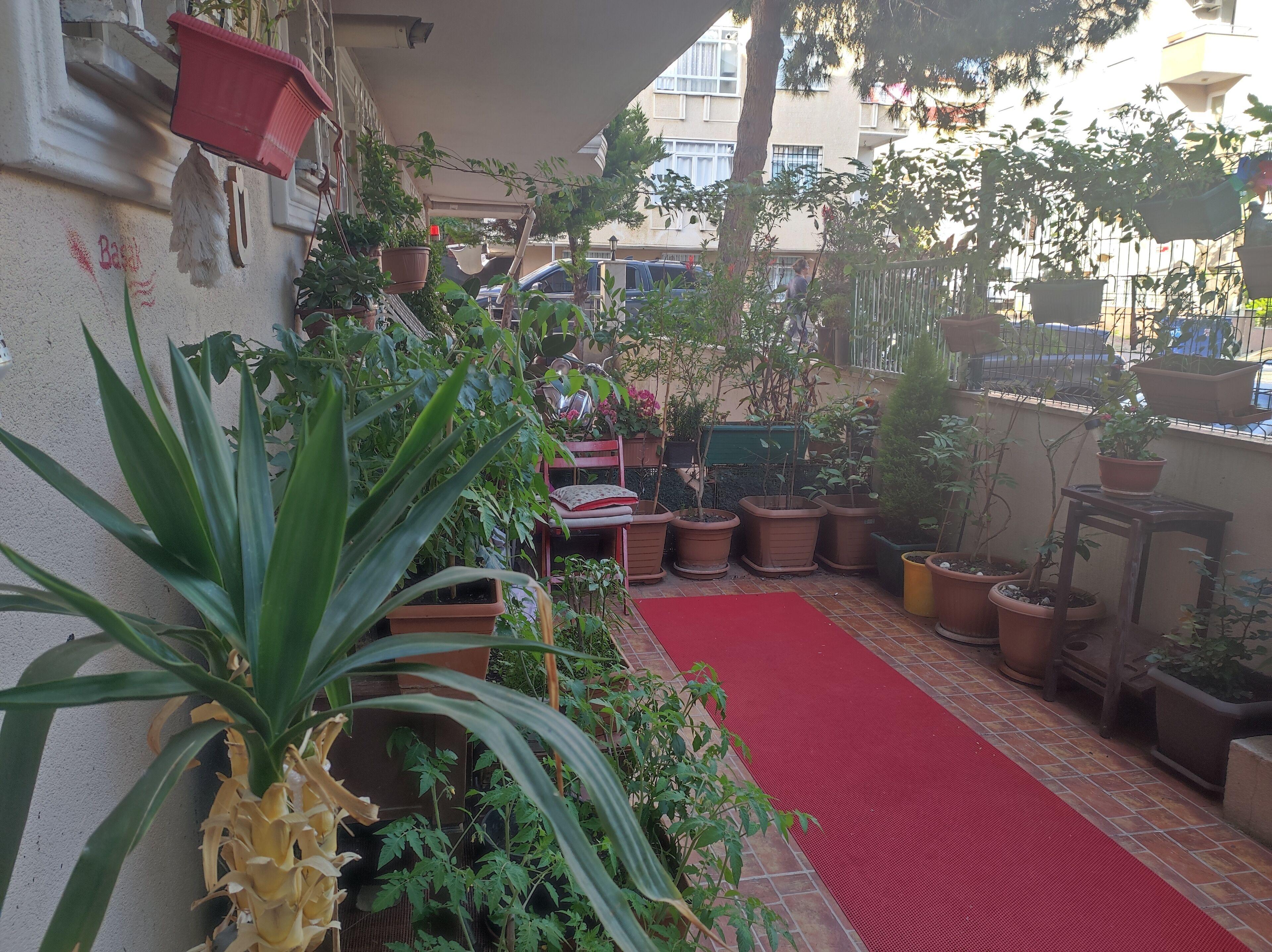 Bufes Hotel - Istanbul — Fotoğraflar 1